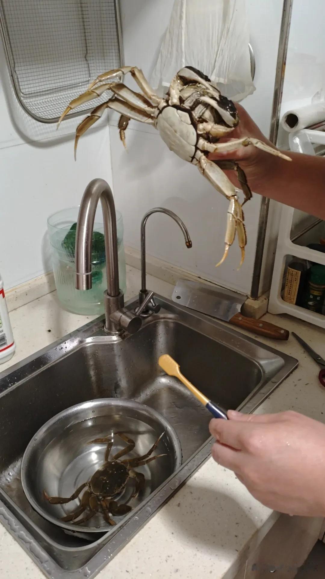 今天在办公室中午吃饭后和几个同事聊了一下，说到自己的老公，以及婆婆如何如何的帮衬