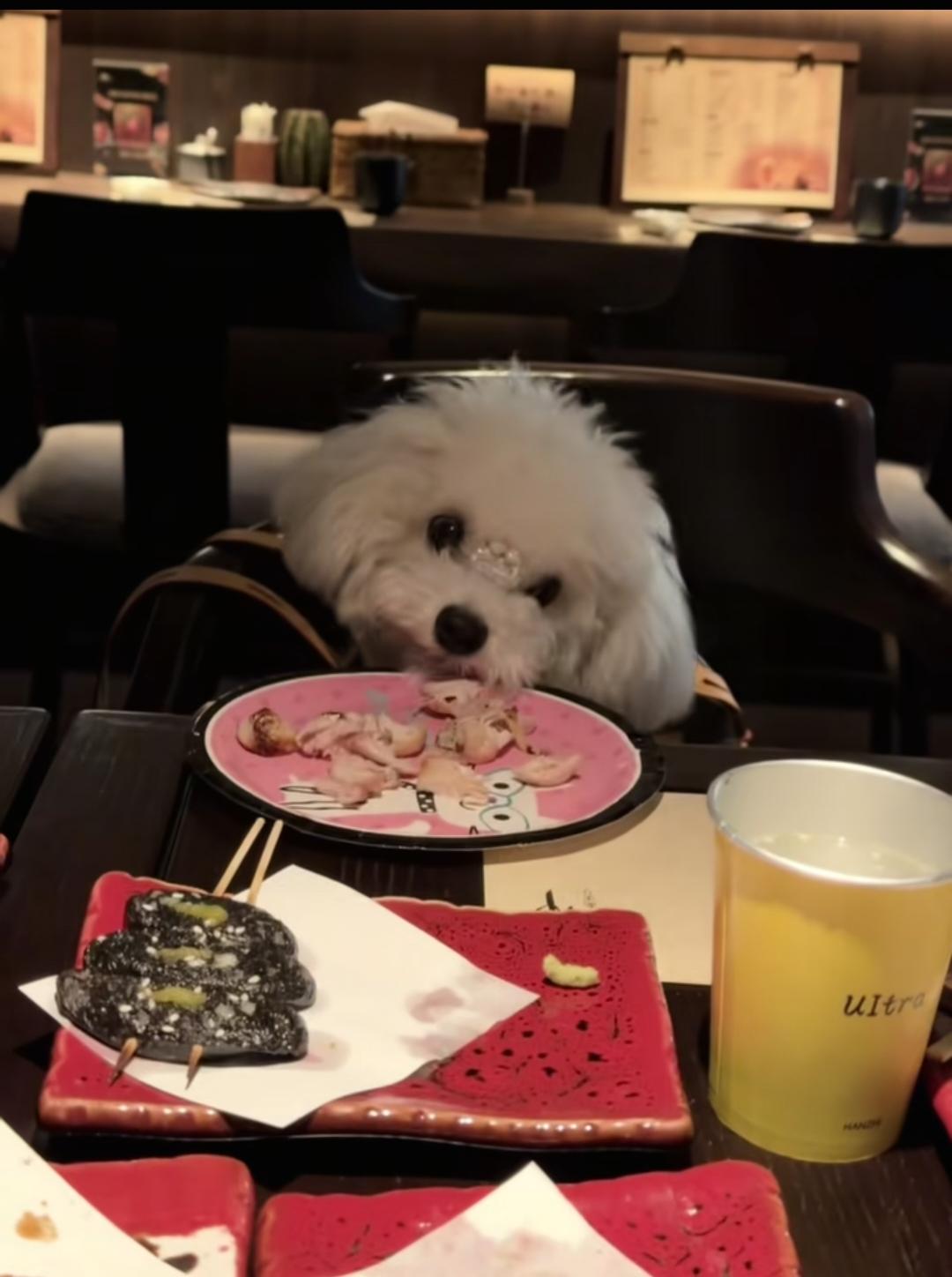 出去吃饭带狗上餐桌，出去玩带狗上儿童滑梯，这些养宠物的人是怎么想的？

这个还算