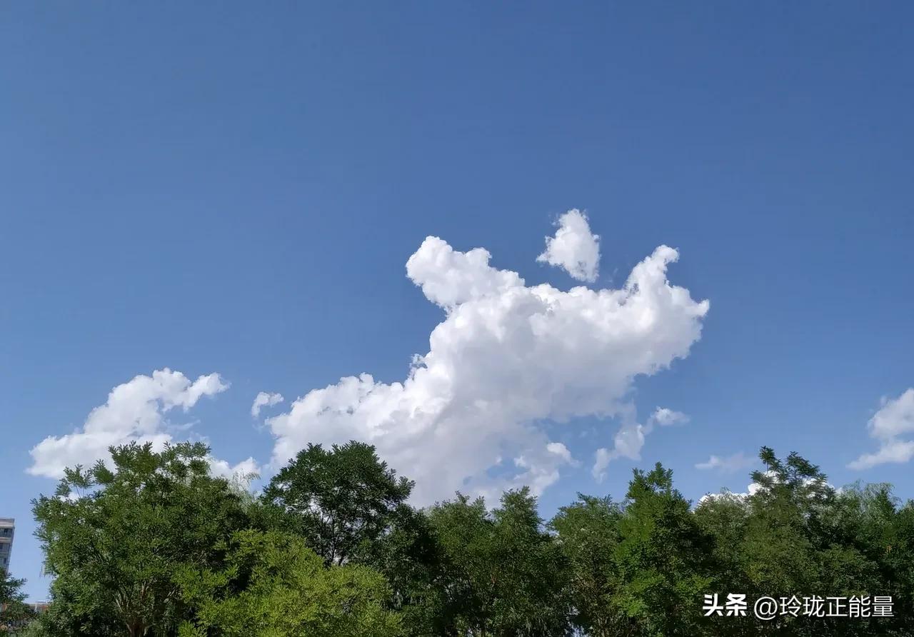为什么你花不到你老公的钱？
因为你不会拿捏你老公。
 
很多女人一直想不通，明明