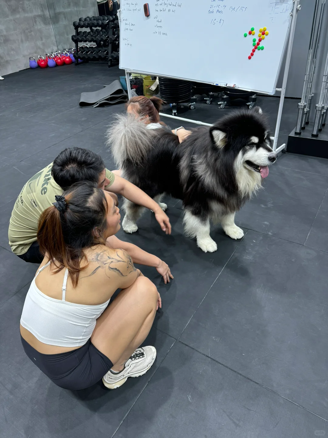 为我疯狂吧人们