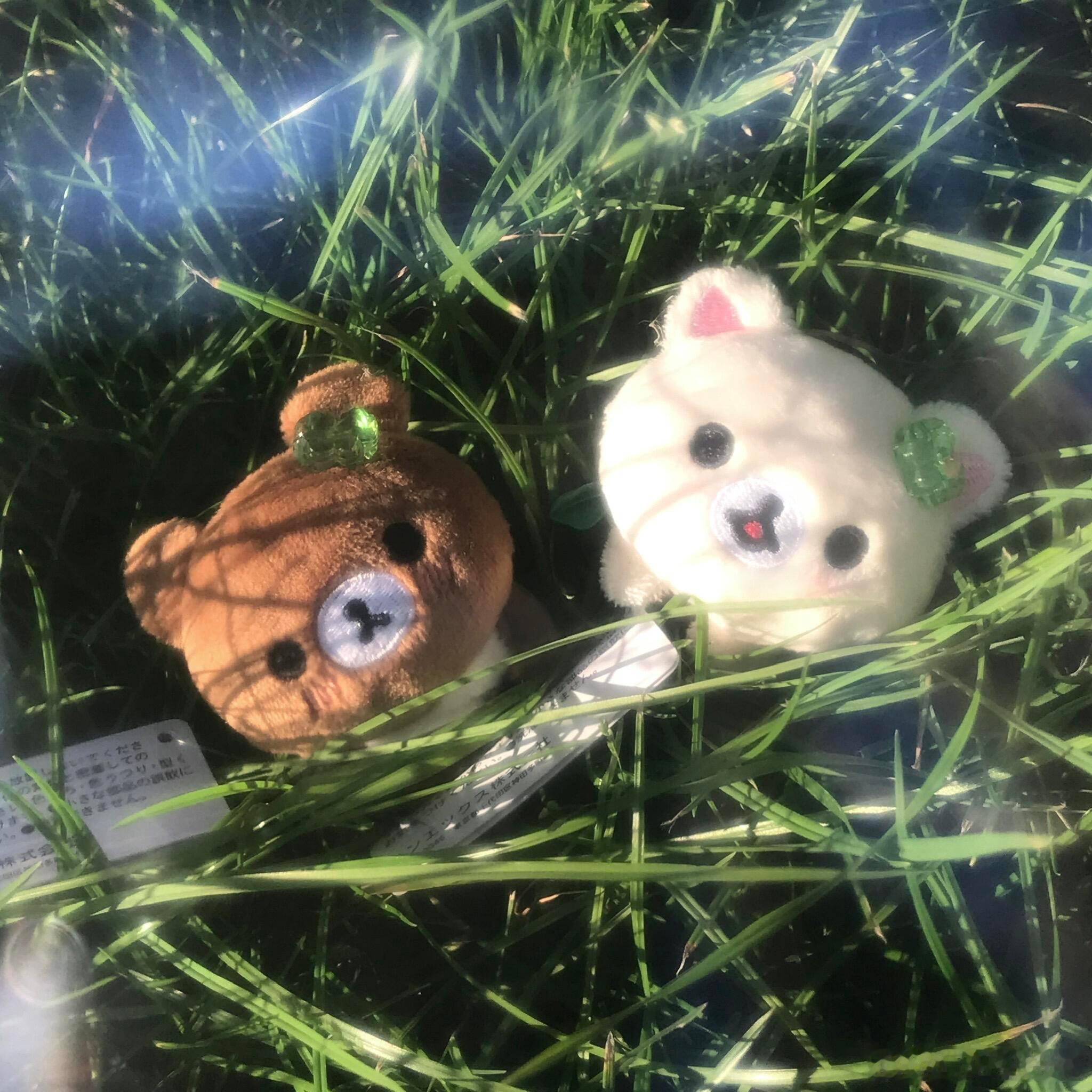 【端午节和父亲节撞了 这一年，最好的孝心不是烟酒，而是这一盏全家消灾灯！】202
