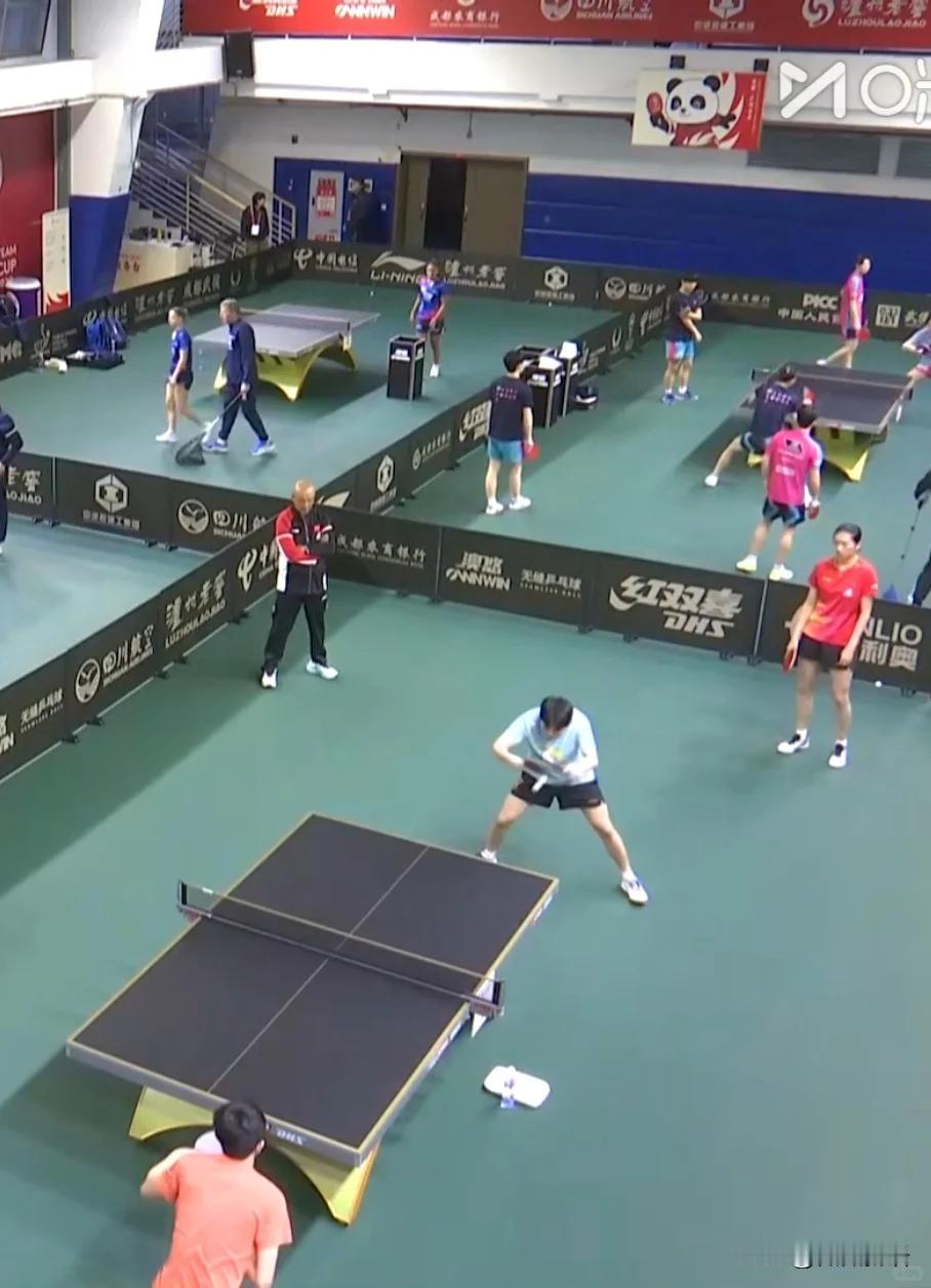 今天的比赛，王曼昱要打女单了。
成都混团比赛第二阶段还是循环赛，上午十点的比赛中