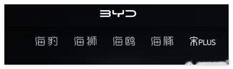比亚迪海洋网最另类的存在-宋~现在产品这么丰富了，也没把宋挪回王朝？比亚迪[超话