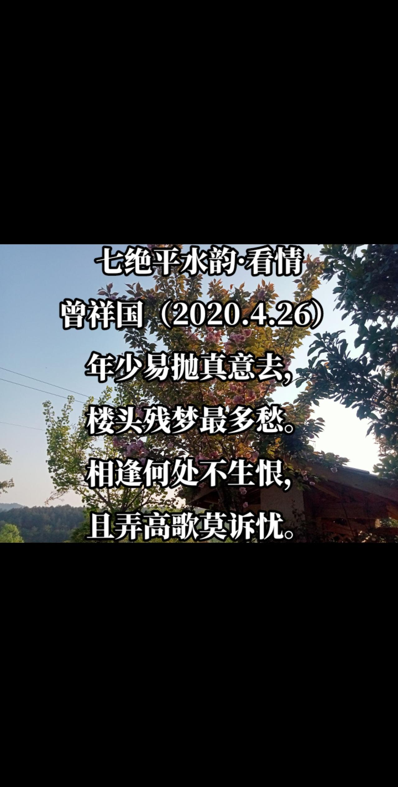 七绝平水韵·看情