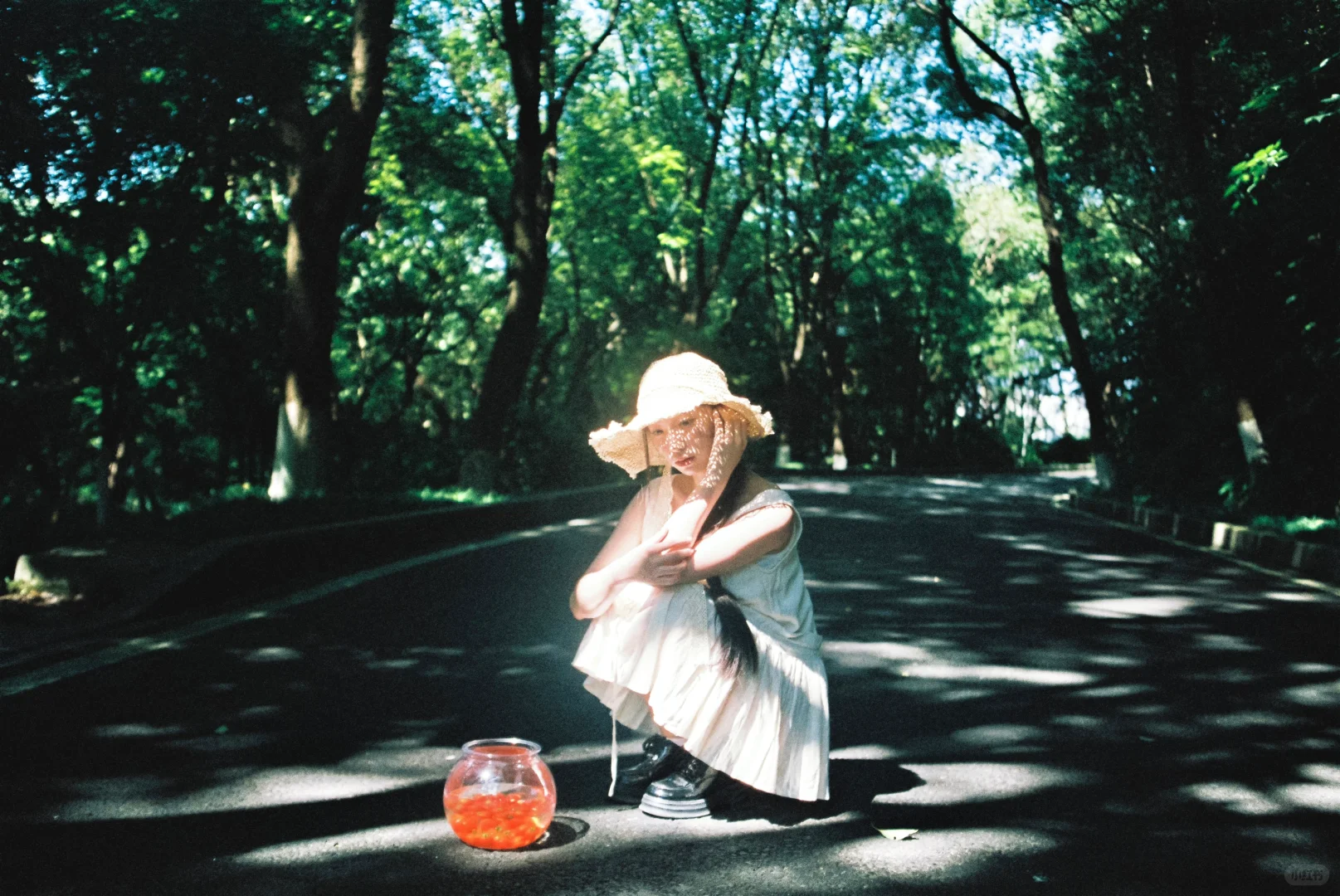 “我的夏天像电影”🍃