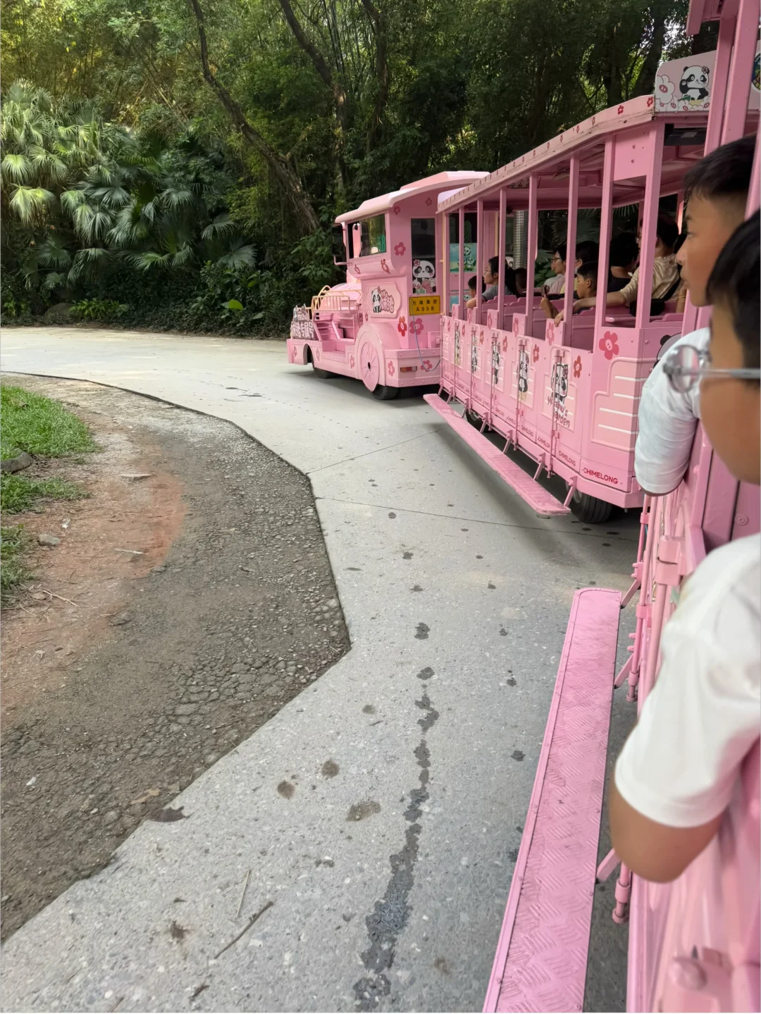 来长隆坐粉色小火车了
