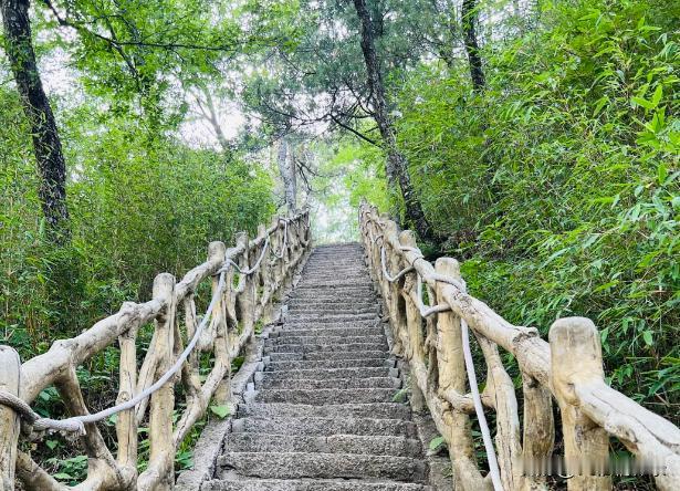 山涧流水清澈见底，青苔覆满青石，瀑布自崖间奔涌而下，水雾氤氲，沁人心脾。

耳畔