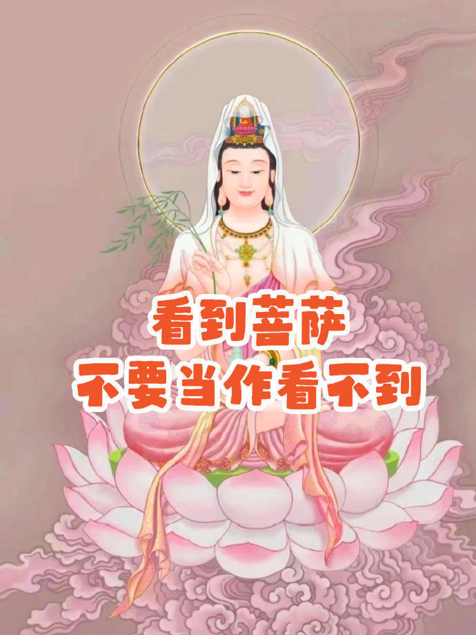 看到观音不要滑走 说明好运要开始了 