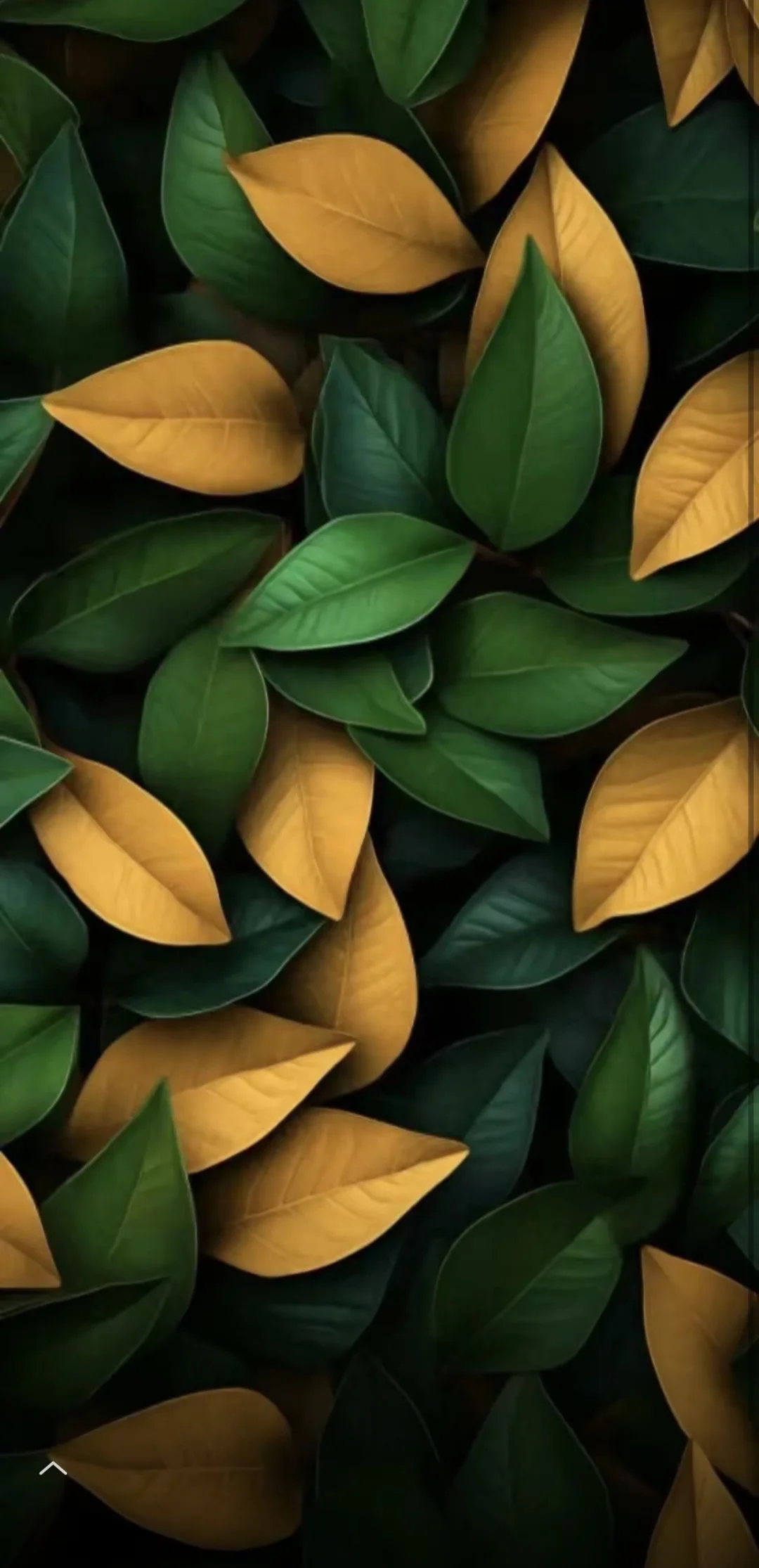 想个问题，其实很多关系当中，你对对方的感受、认知和判断，无非就是对自己...