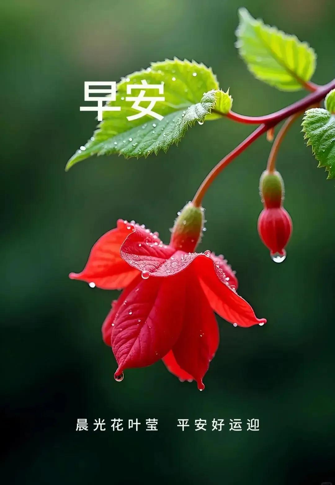 广汉要跟上四川省的发展速度，必须发扬广汉人不唯上，只唯实，敢为人先的精神，不因循