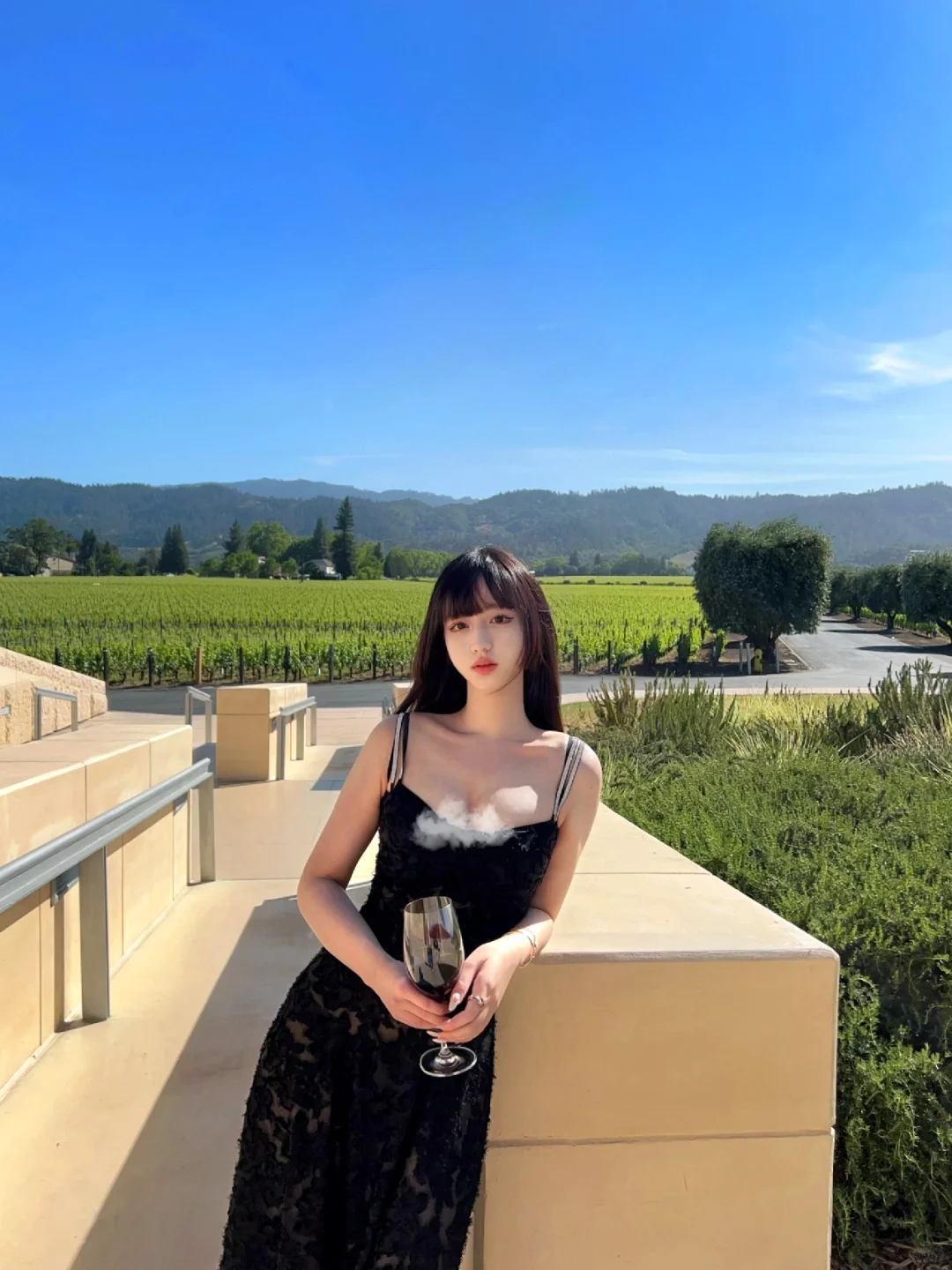Napa的阳光☀️和风🌬️有了夏天的味道|加州
