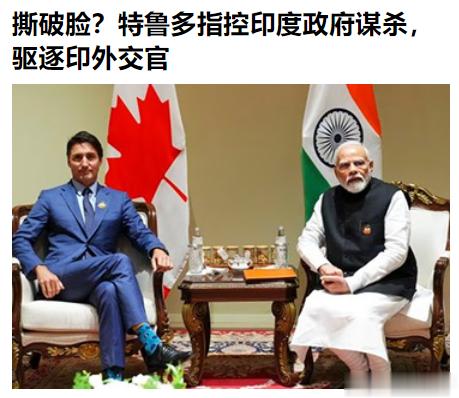 分享图片 ​​​