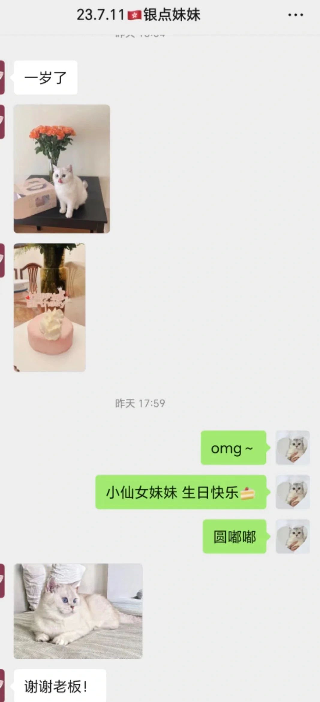 🇭🇰貓貓家長返圖系列💛貓貓生日快樂～