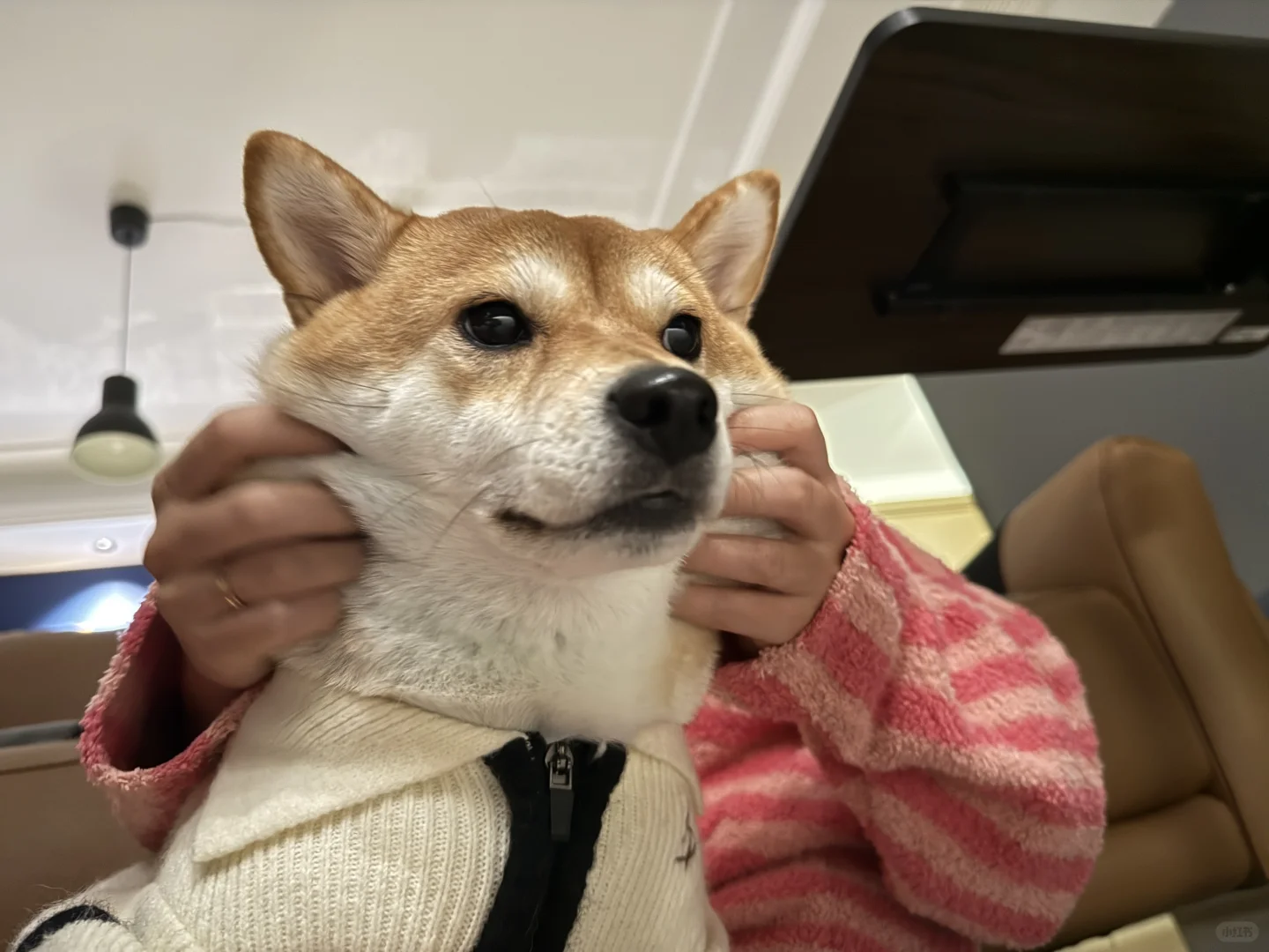 周一好！打工人