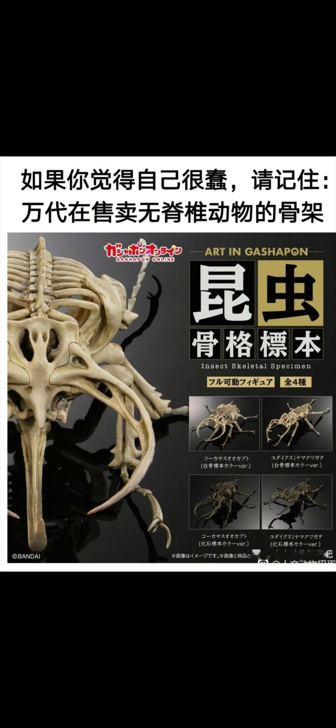 搞笑的是更“蠢”的巨大战斗机器人模型你都玩了，现在反倒会认为“给无脊椎动物做脊椎
