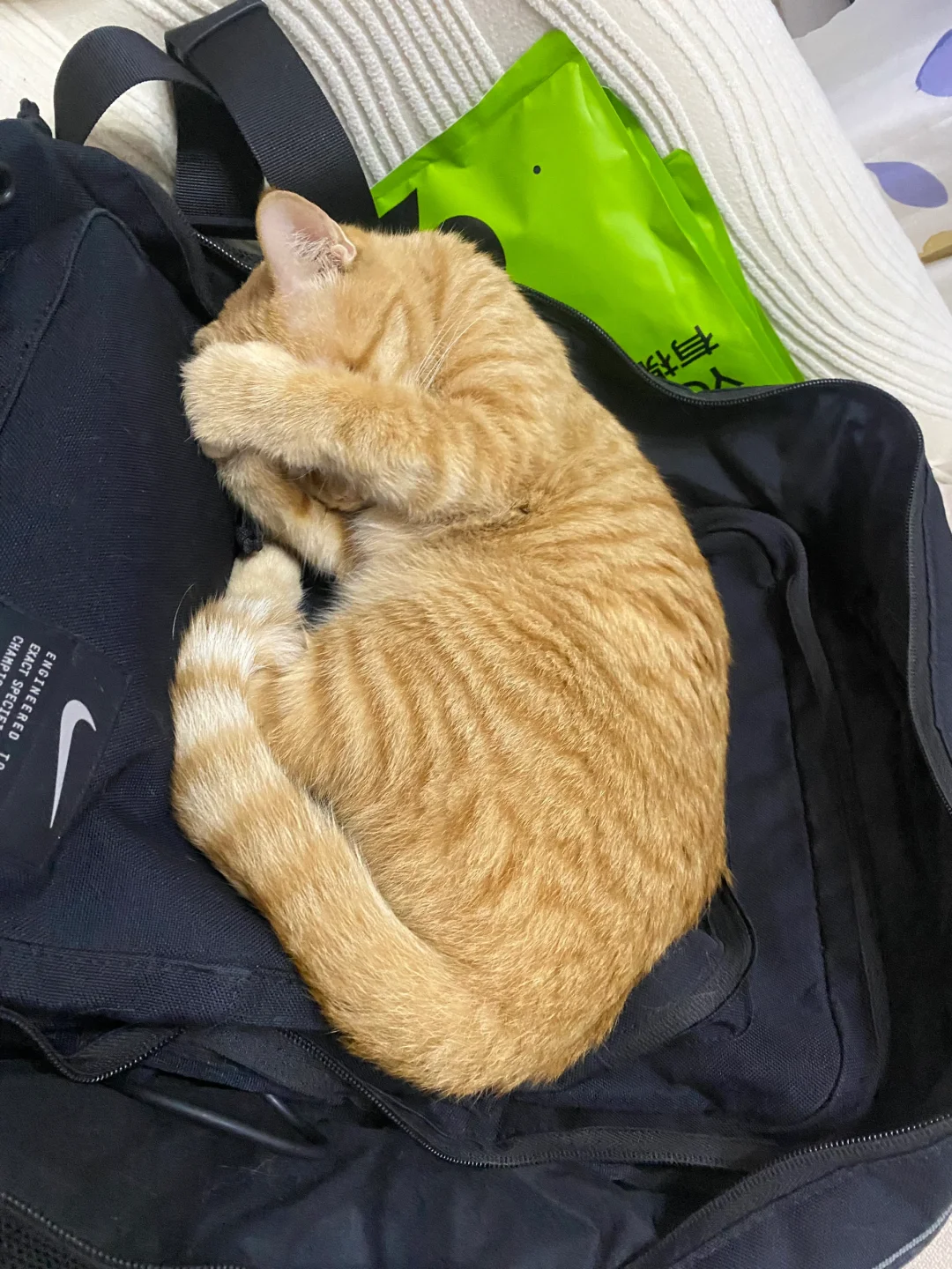 猫猫我最讨厌睡觉不关灯的人