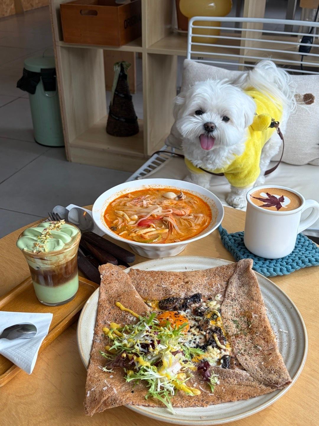 期待今年的剧本