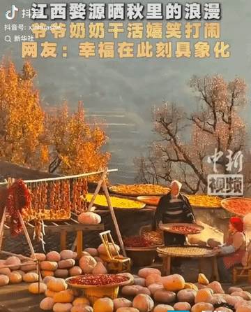 “上新华社了！” 江西婺源篁岭，一段游客随手拍下的视频走红：晒秋时，爷爷故意把辣