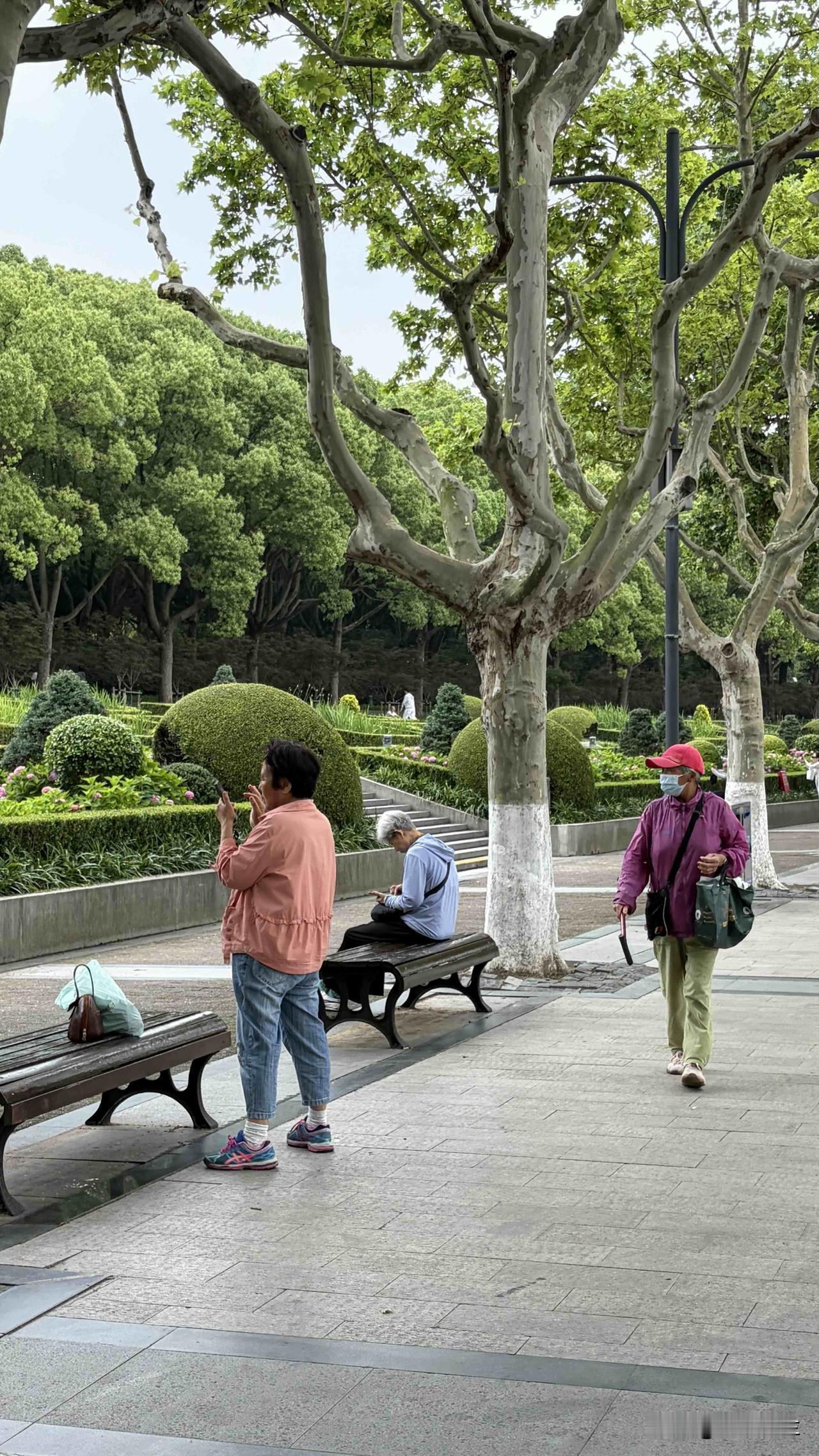 上午，我正在公园的步道上走着，迎面走来一位与我年龄差不多的女士，手里拿着手机，对