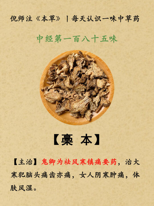 倪师注《本草》丨185-槀本—186-石苇