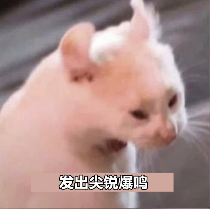 给大家分享一波猫猫表情包！助大家表现出自己优秀的精神状态[喵喵] ​​​
