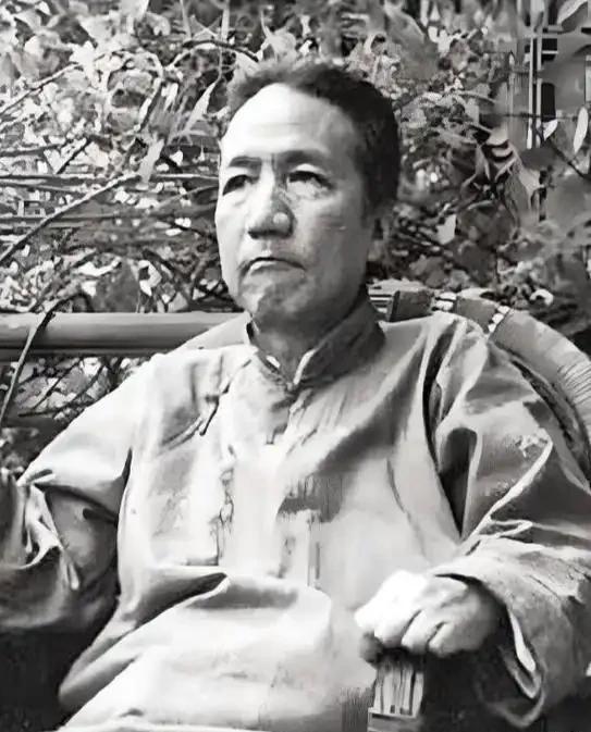 1941年，几个日本兵闯入一位中国老人家中，双目失明的老人用流利的日语厉声斥责。