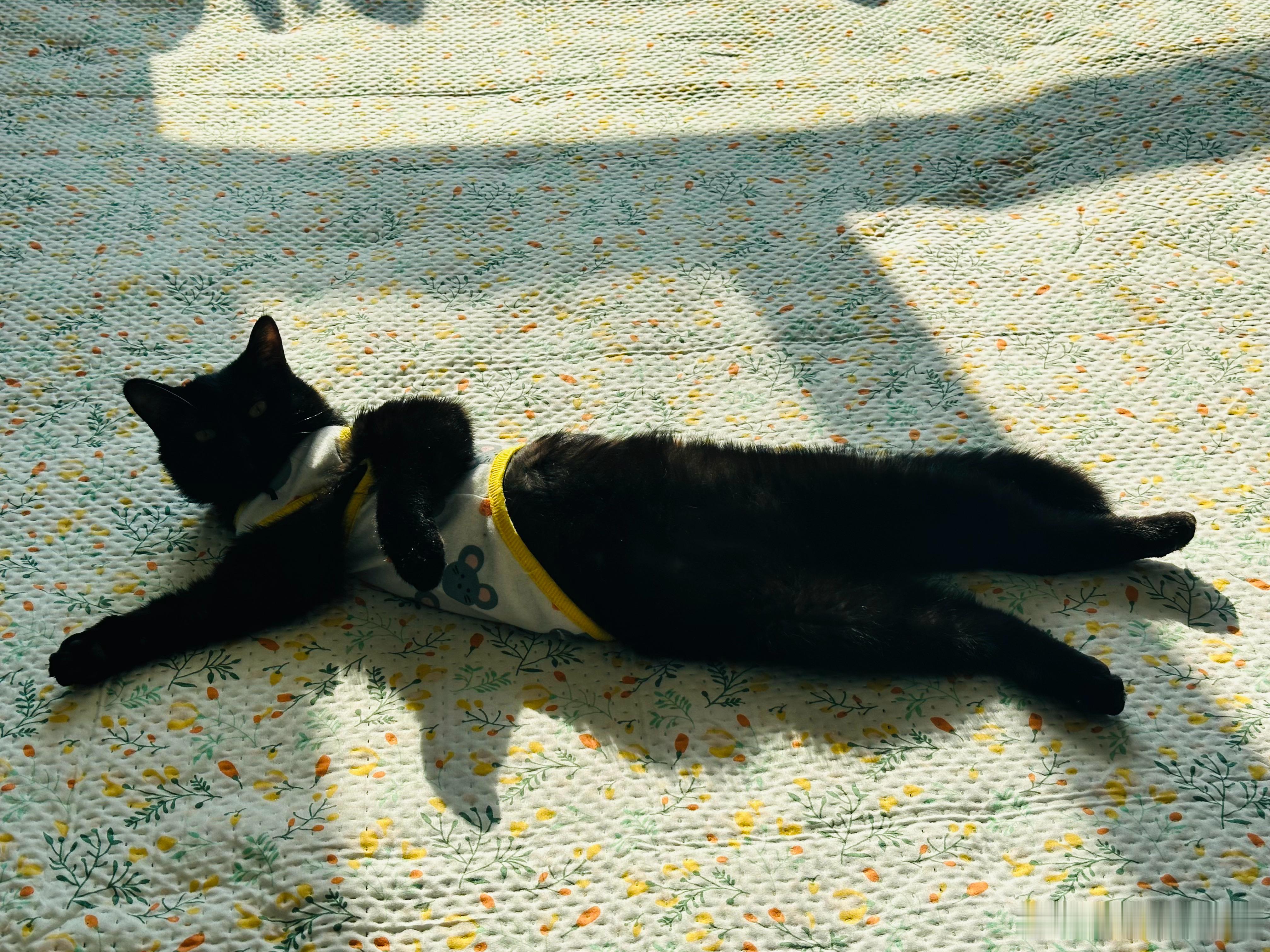 无以报偿，才让人最难受。 