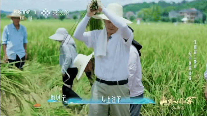 沙溢干农活有种老一辈的踏实感山水间的家从学习插秧到上手脱粒稻谷，慢慢摸索农事技巧
