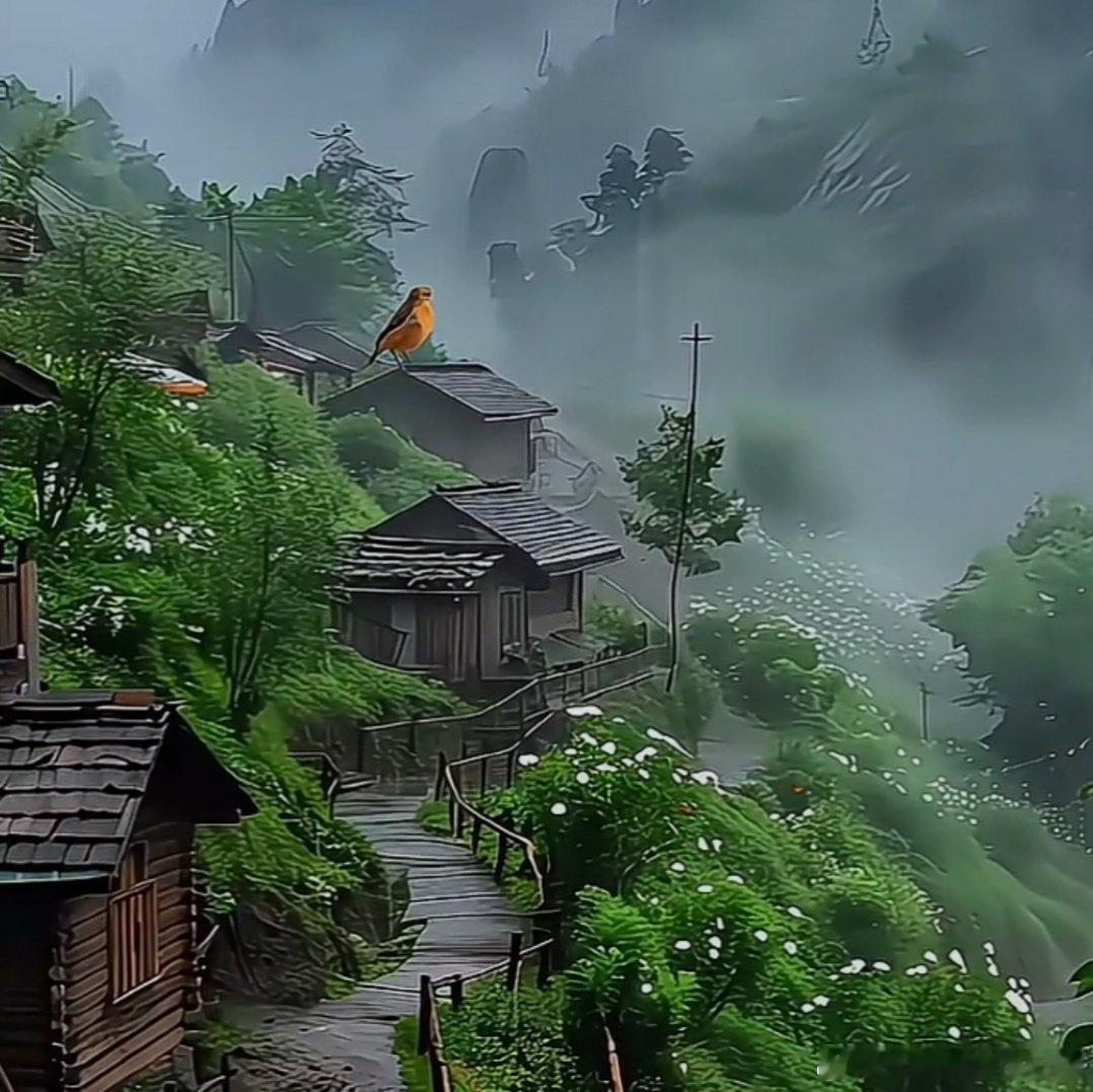 这世上，有些人的智商于在线时刻，其智商不可谓不高，但因缺乏境之界，于是在事关其情