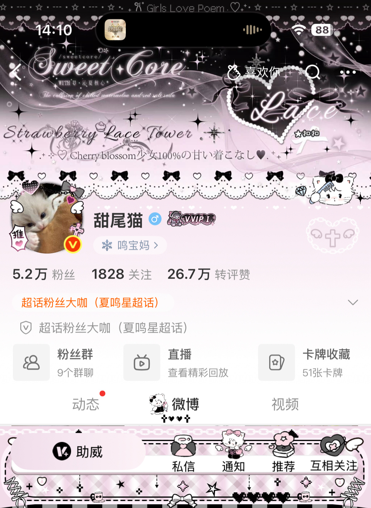 又搭了一套！小铭牌穿上穿上 