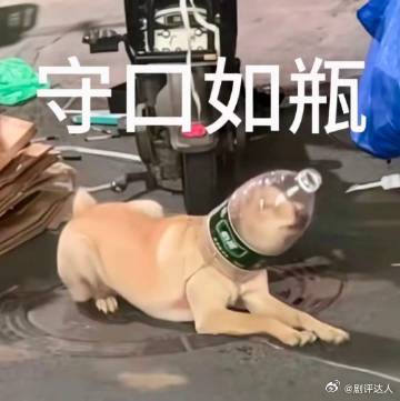 薯片这样吃简直夯爆了 改变薯片单一的食用方式，蒜片烤肠搭配原味薯片，辅以辣椒面提