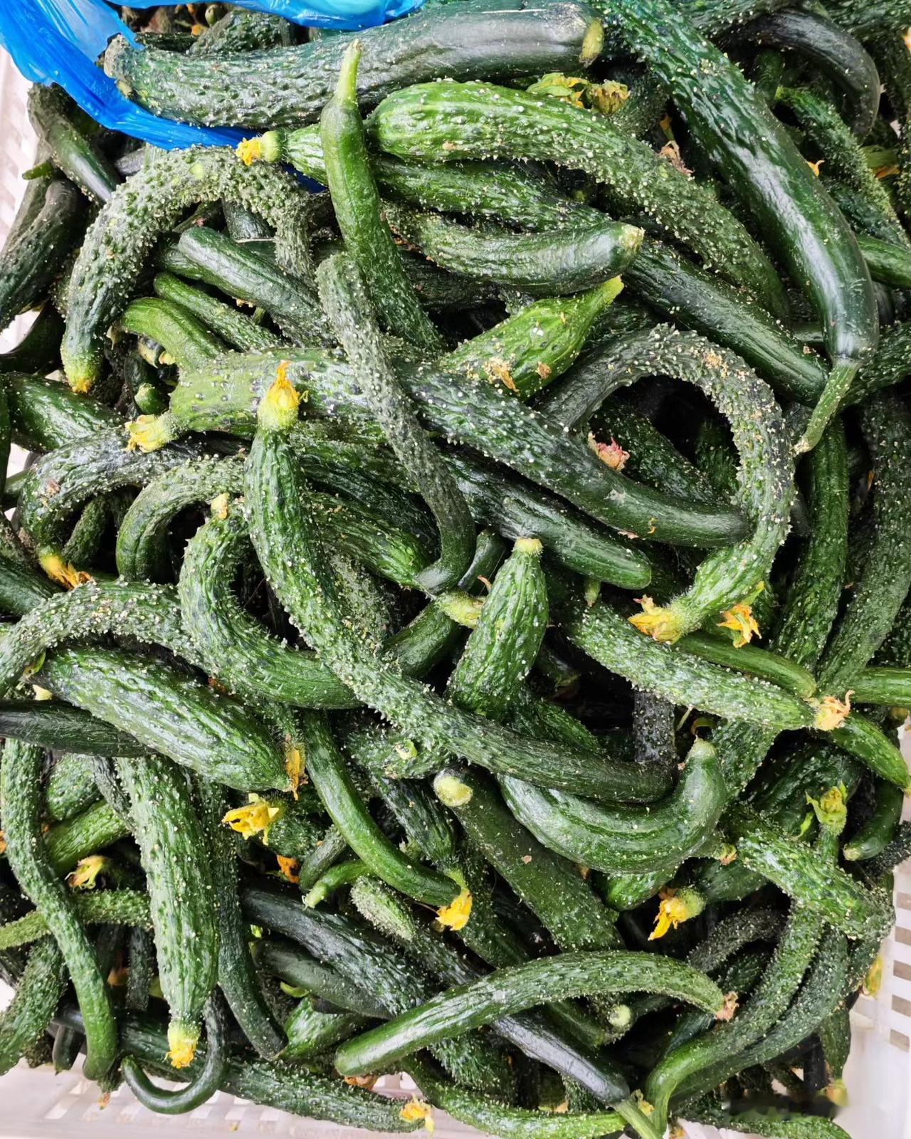 小姐的身子，丫头的命，吃点好的吧，肉蹭蹭的涨，本身高血压，还害怕再有脂肪肝，那就