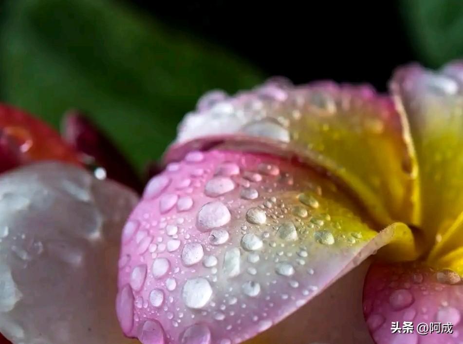 “如果那两个字没有颤抖，我不会发现我难受。”
陈奕迅的歌里藏着很多心事，这句词更