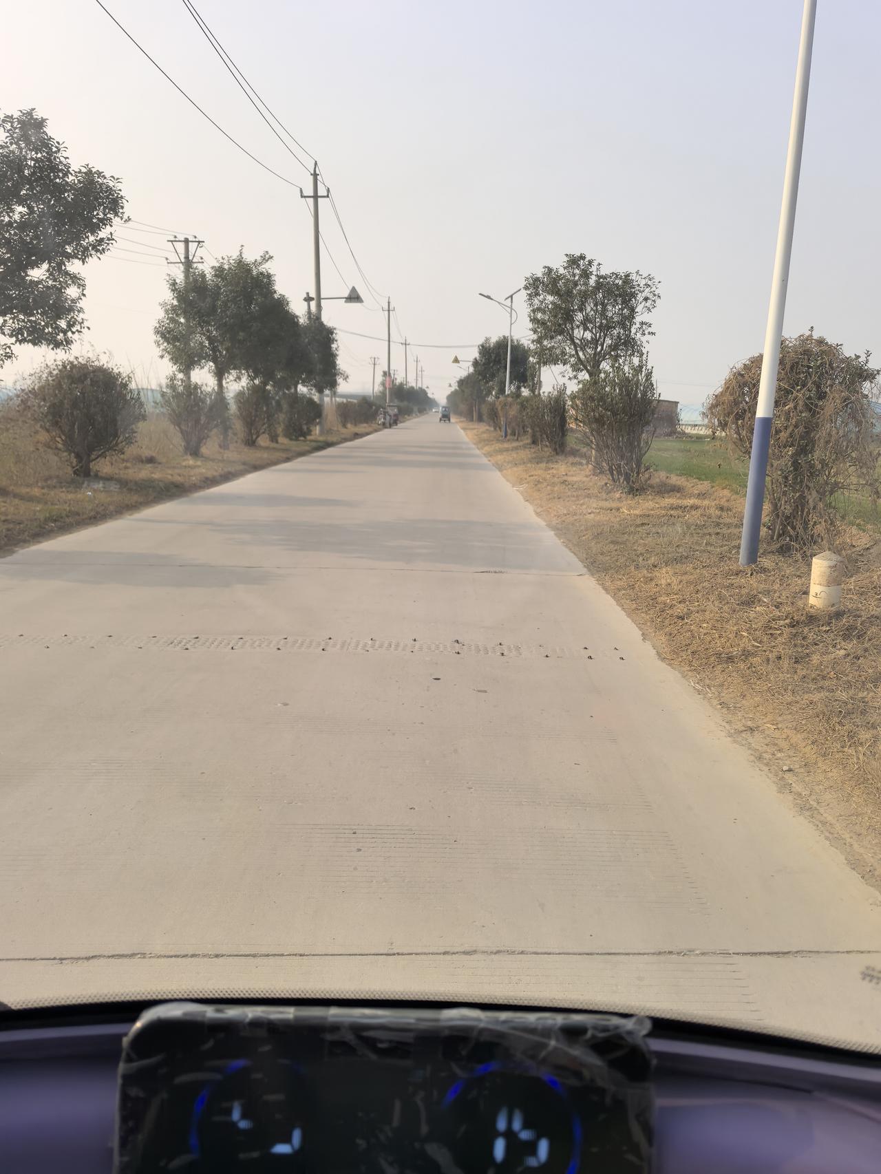 今天的人真不多呀