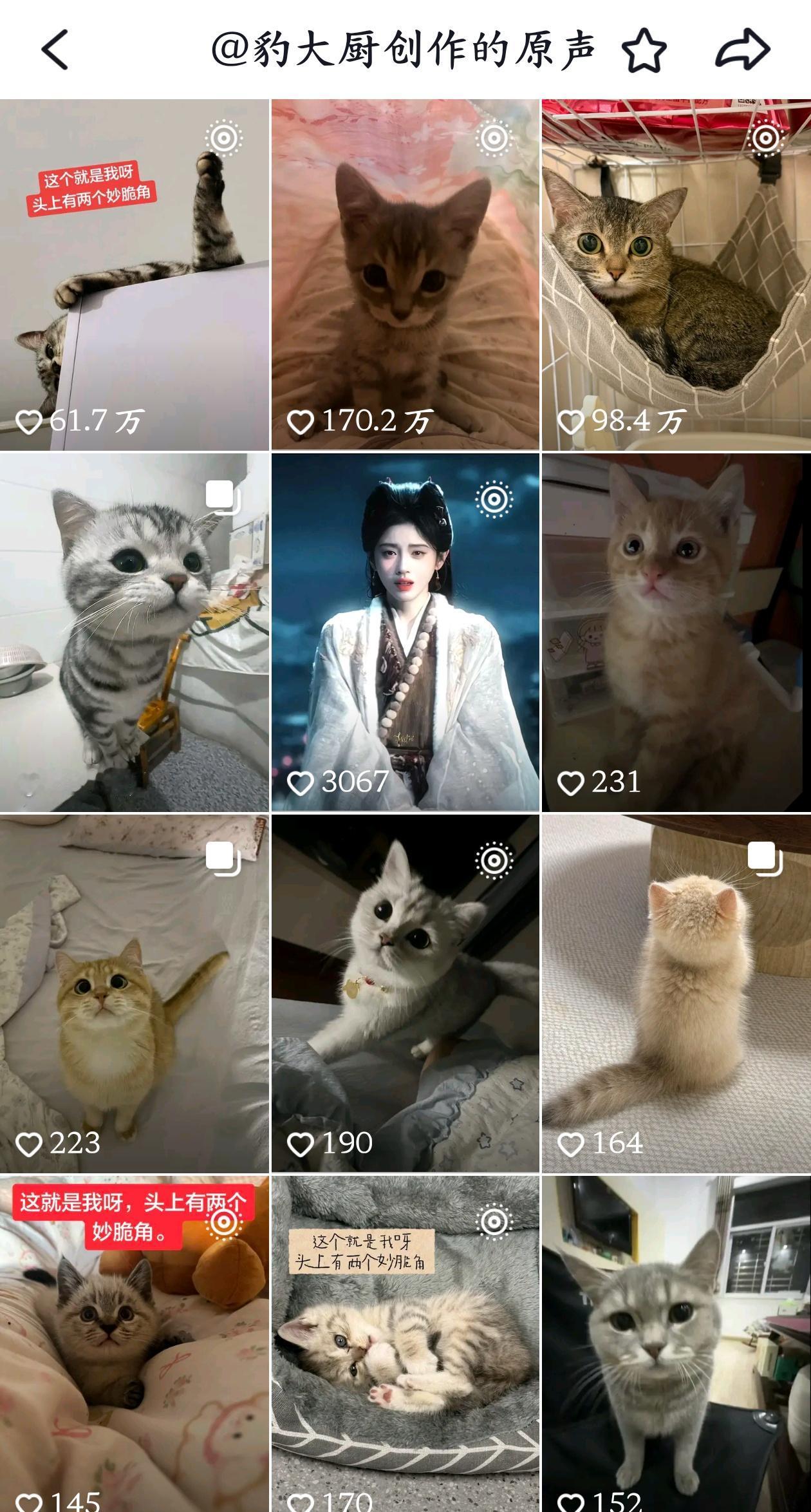 众多咪里出现了个鞠[笑哈哈] ​​​