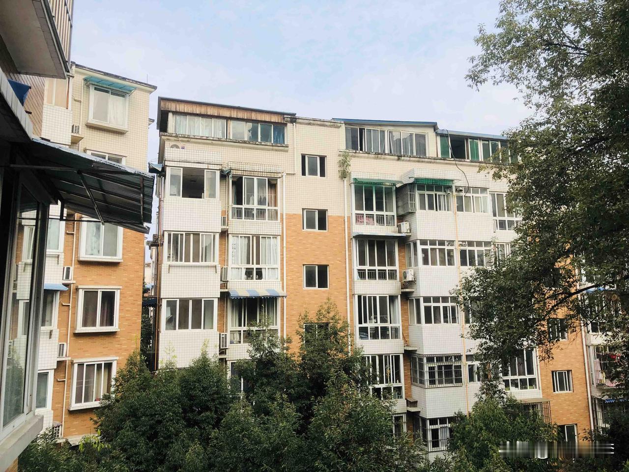 我发现，四川人是真的不怕冷。

此时此刻气温6度，天气灰蒙蒙的，我看了一下，有人