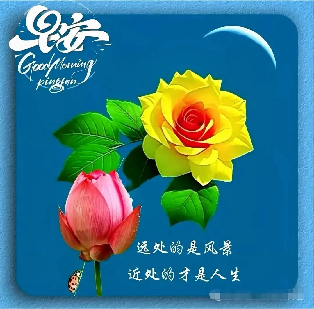 早上好周末愉快
送一份祝福，平平安安
送一份心意，美美满满
送一份快乐，健健康康