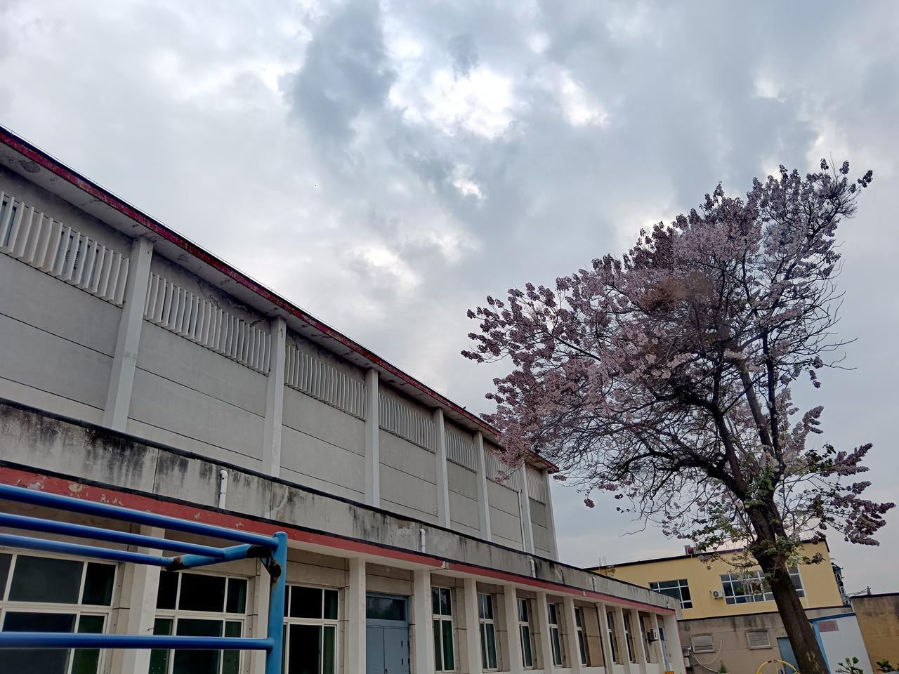 疲劳感不再是提醒我休息，而是提醒我不再年轻。