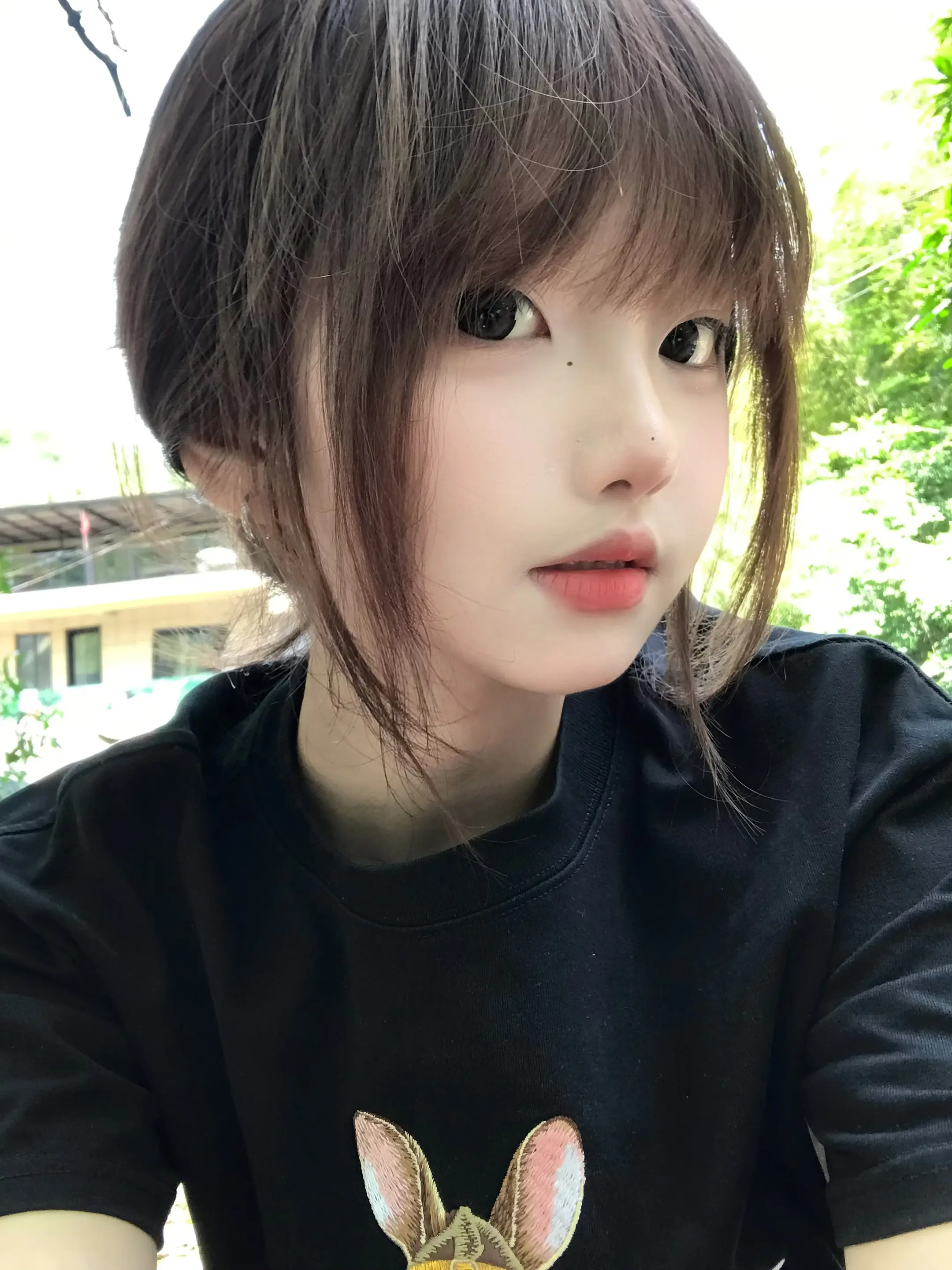 纵吾矢志不渝终无悔 得亦欣然 失亦欣然