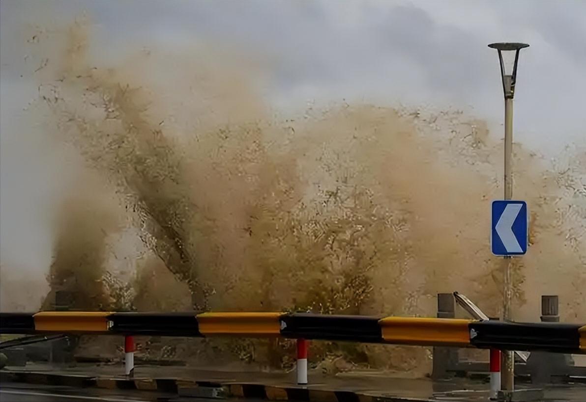 近期台风白海豚的动态持续牵动着众多气象爱好者与沿海地区民众的注意力，作为今年以来