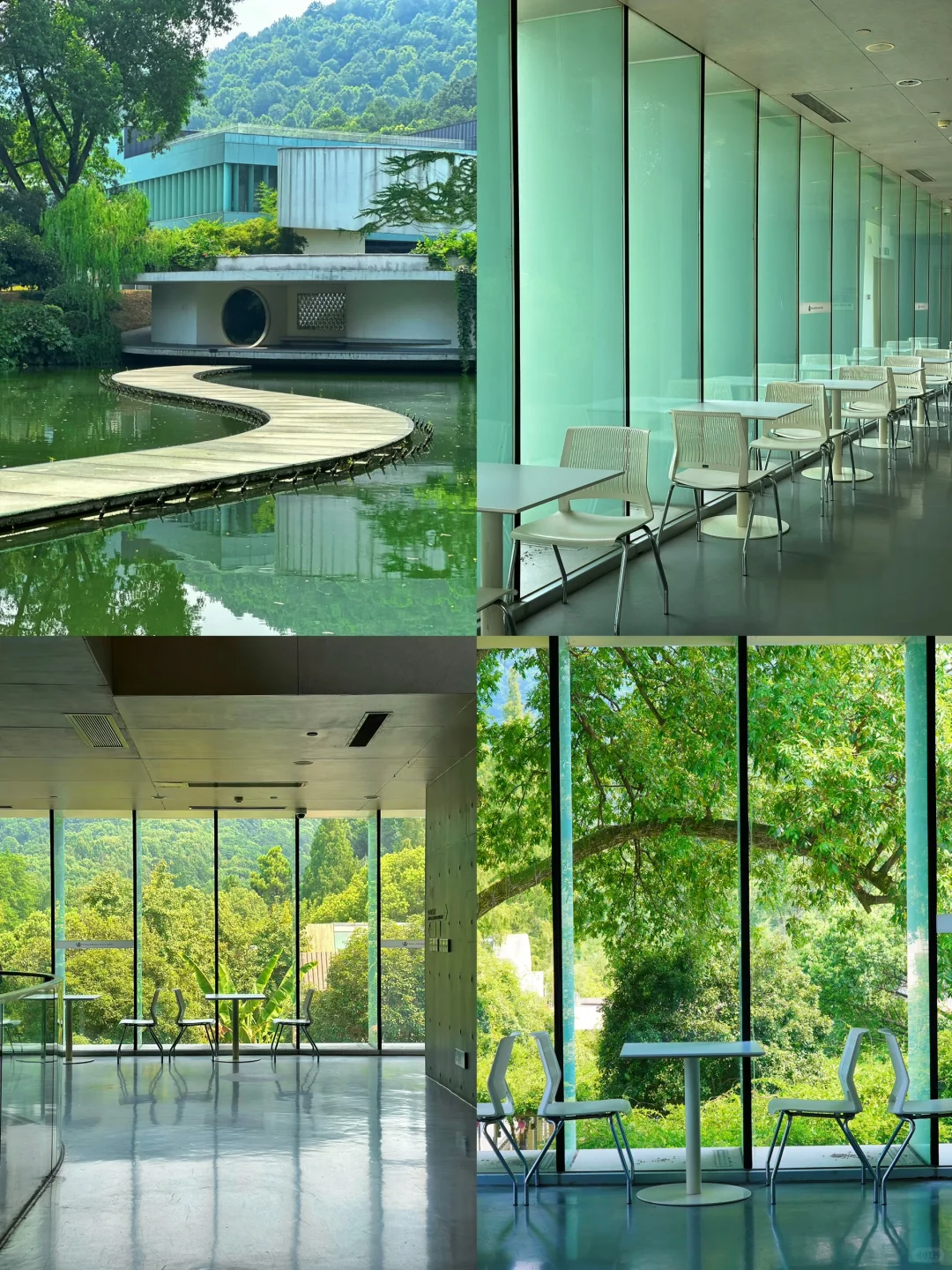 杭州小众博物馆｜藏在西湖边的绿色秘境！