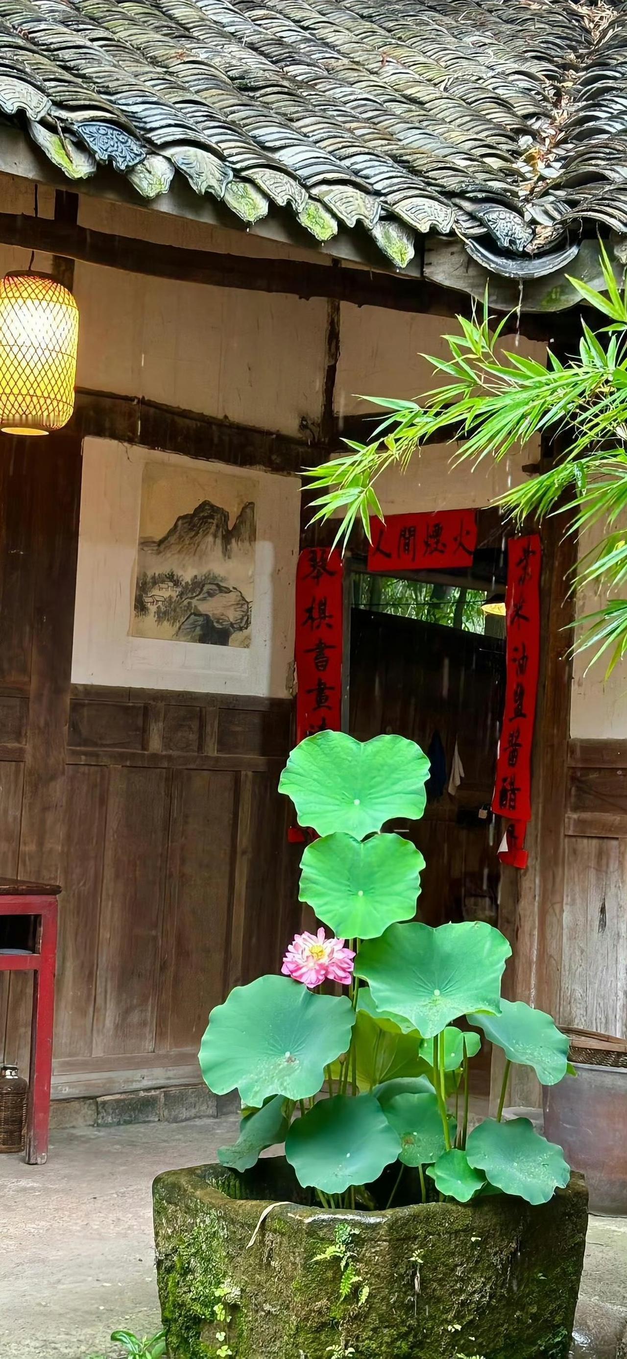 用柔软的生活，抵御内心那个不自在…