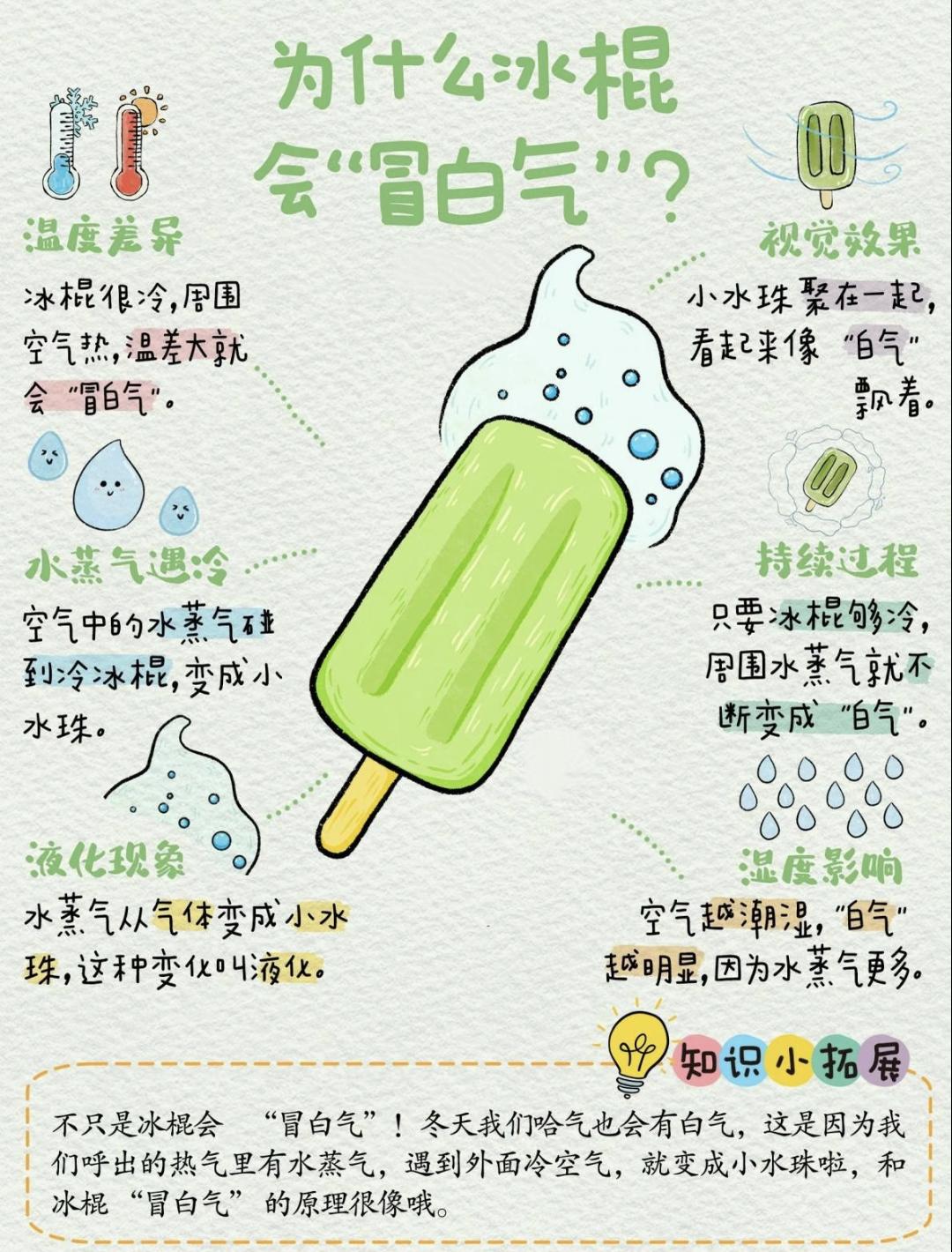 为什么冰棍会“冒白气”❓
1.温度差异 2.水蒸气遇冷 3.液化现象
4.视觉效