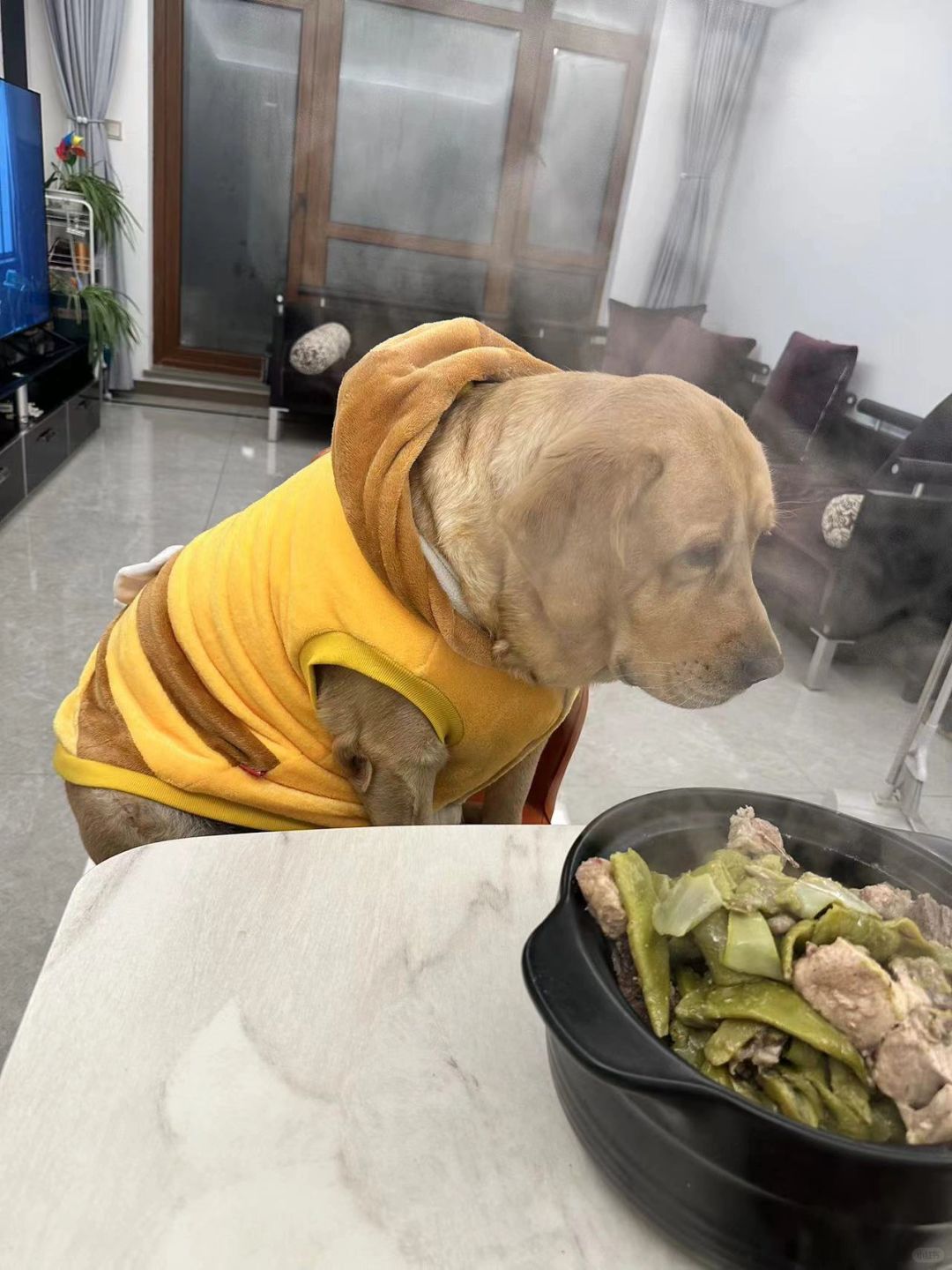 你知道吗？你嫌弃的不是我的厨艺，而是我的心