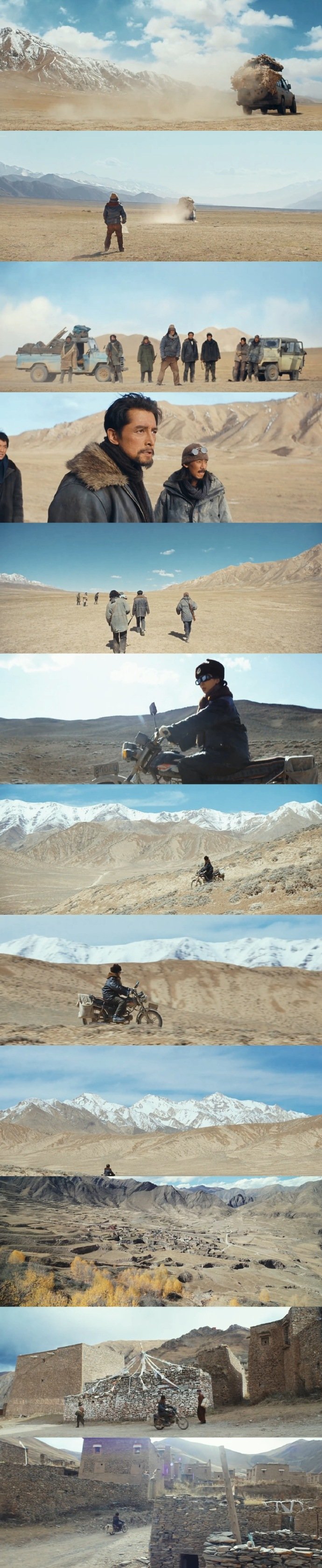 生命树实景镜头生命树实景镜头好震撼 