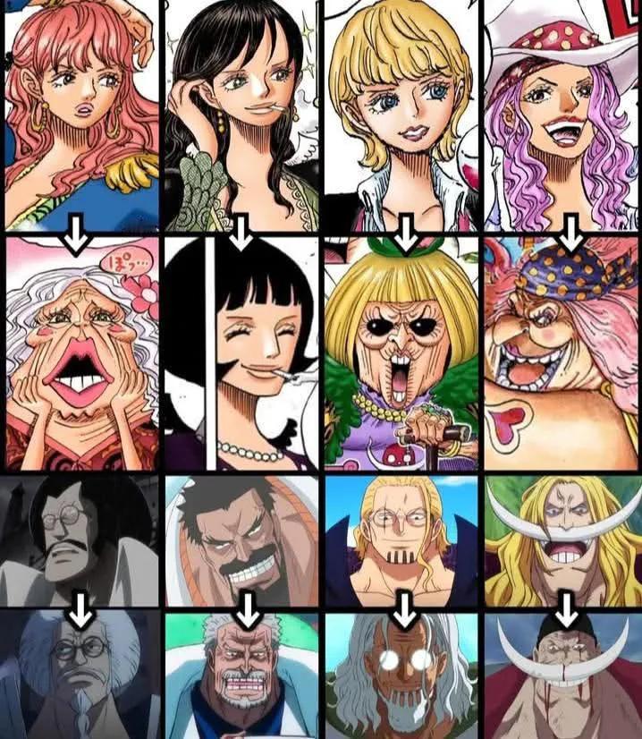 海贼王 海贼王 上一时代的人变老后...... 