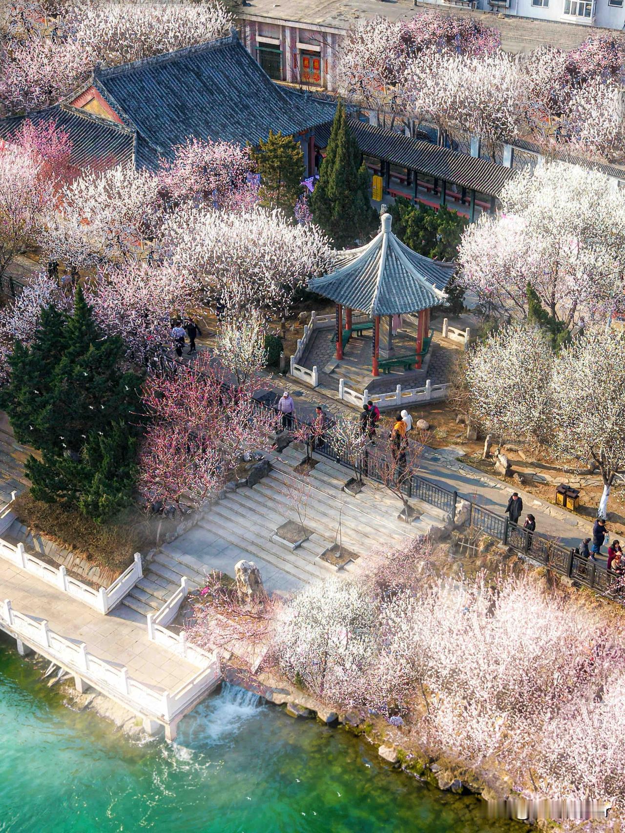 天津桃花堤｜乾隆私藏赏桃地 春日桃花盛宴全攻略

天津桃花堤的桃花迎来盛放期，千