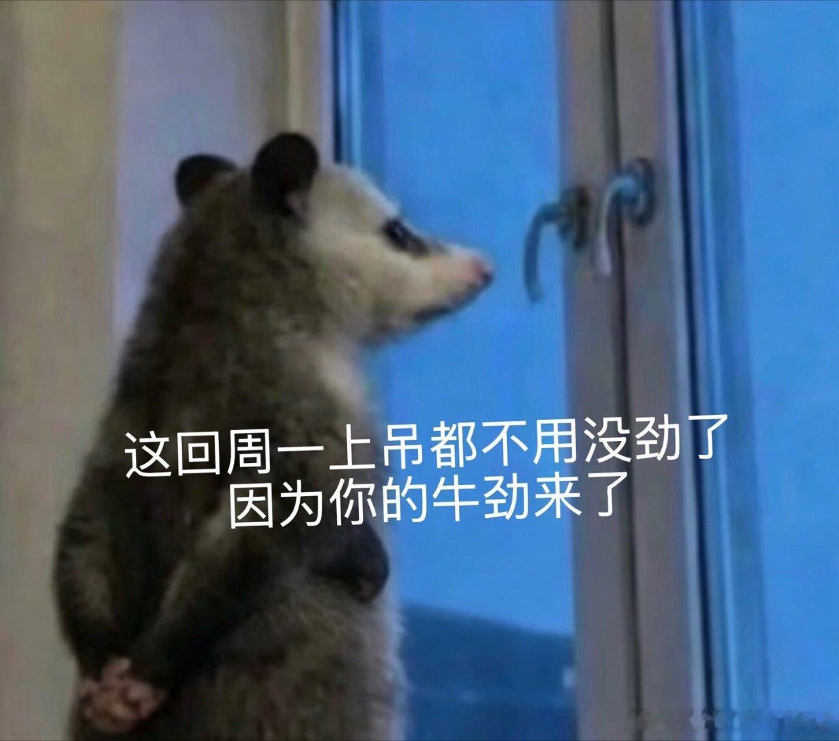 蒙牛不愧是我体育圈的最强人脉不懂足球战术、分不清球员？照样能在世界杯薅到满满福利