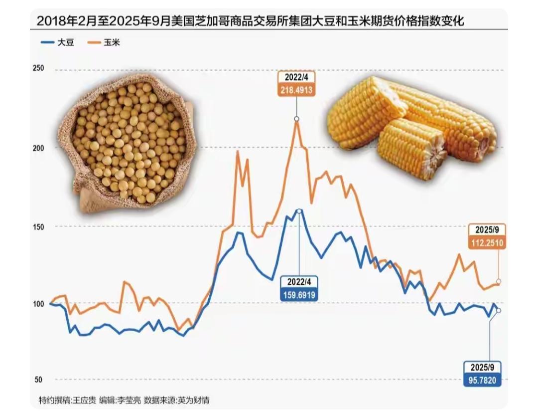 只因总统特朗普，我相信明年他就会下台，一个老态龙钟的人，担任大国领导 实属有些危