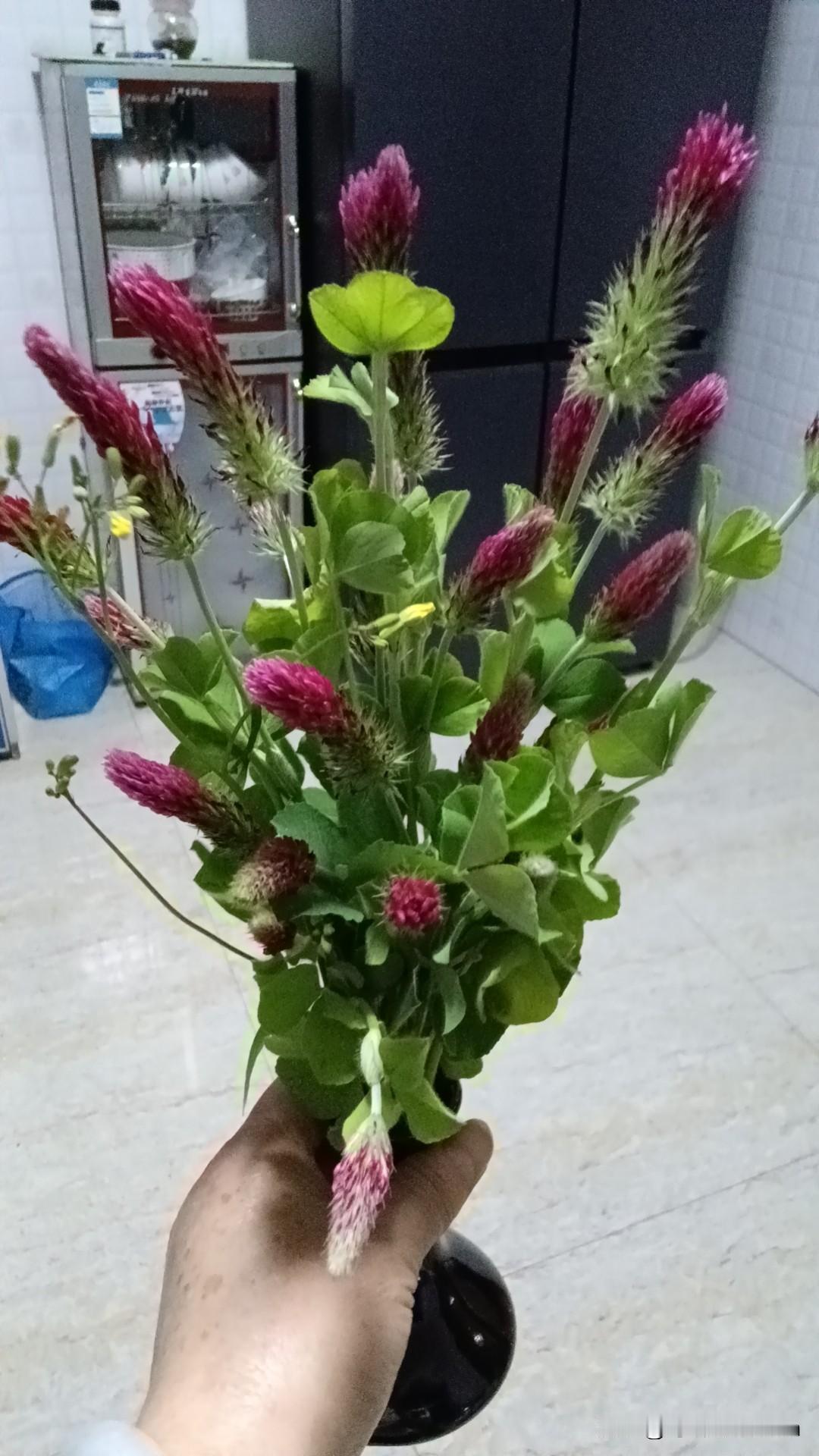 嫁人到底看家境还是人品，这不是二选一的题，得三层判断。
家境意味着家庭的抗风险能